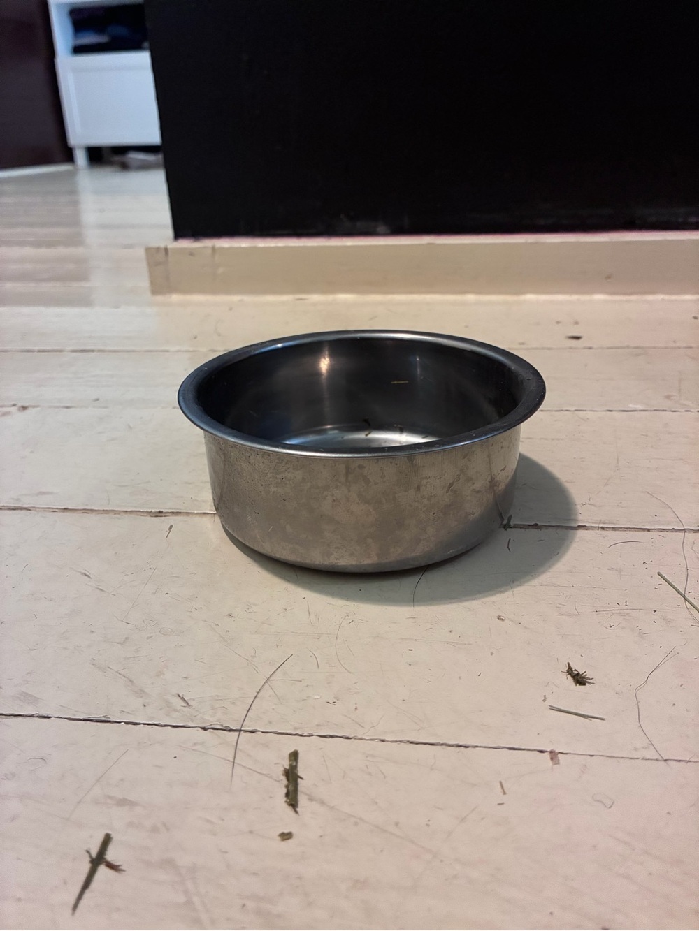 Stainless Steel Pet Bowl - Silver